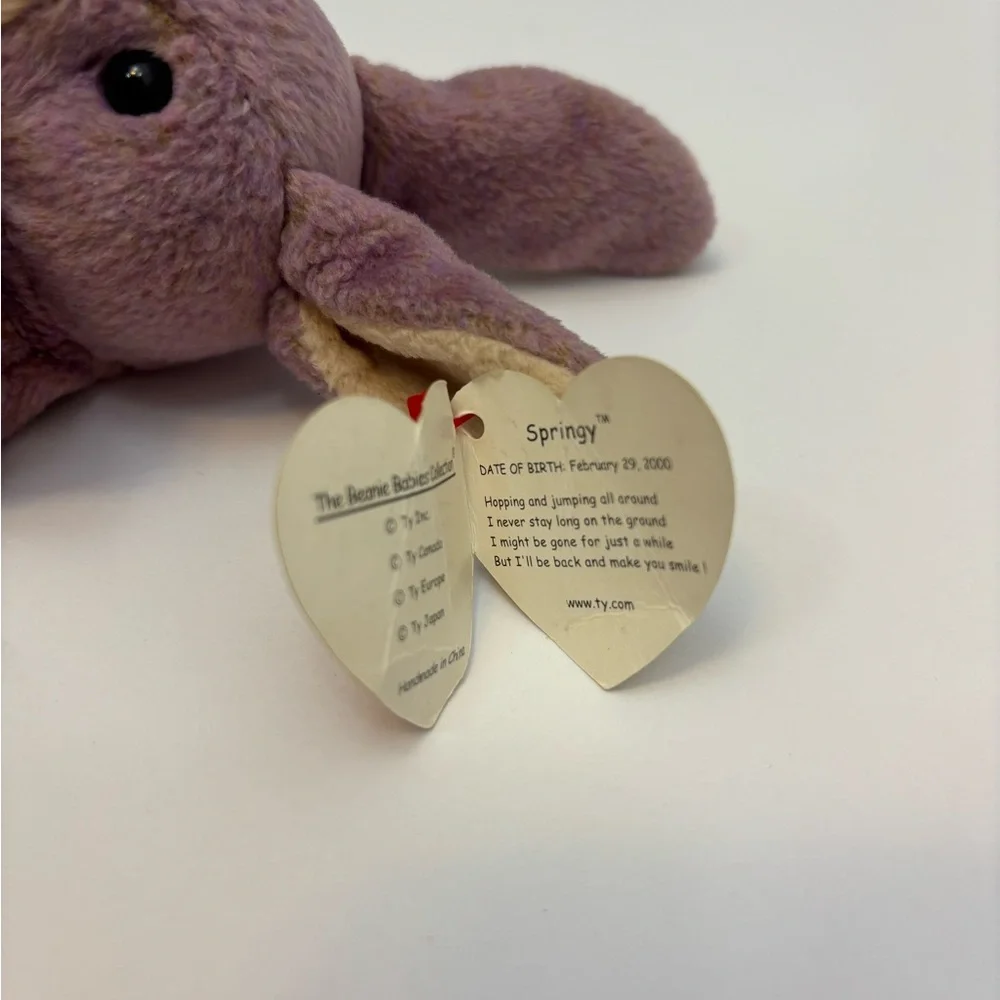 2000 TY BEANIE BABY SPRINGY